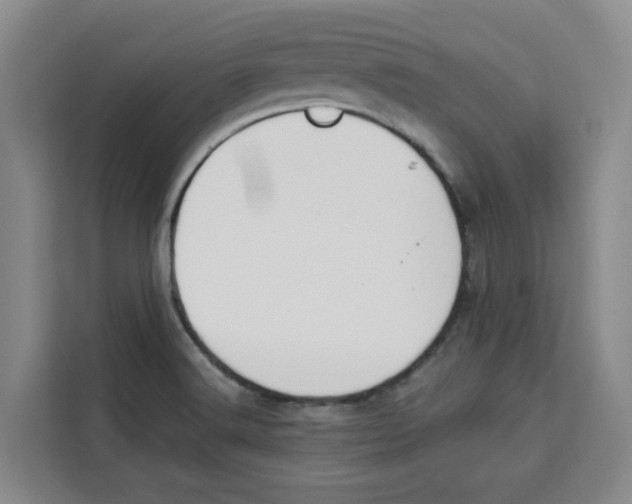 X0000113911516200910221323