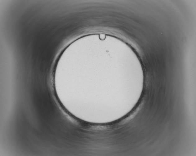 X0000113911517200910221323