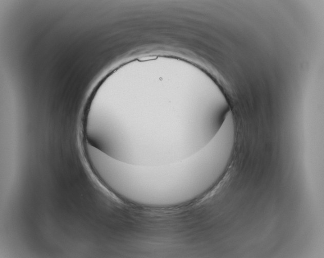 X0000113911518200910221323