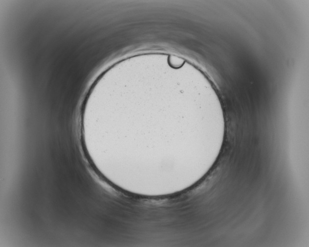 X0000113911519200910221323