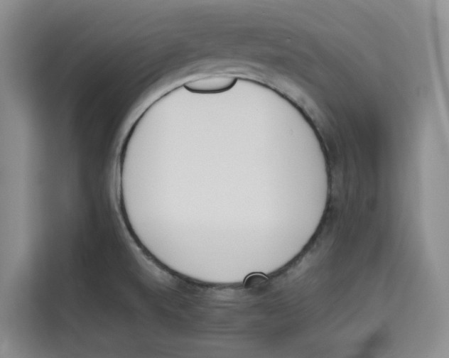 X0000113911520200910221323