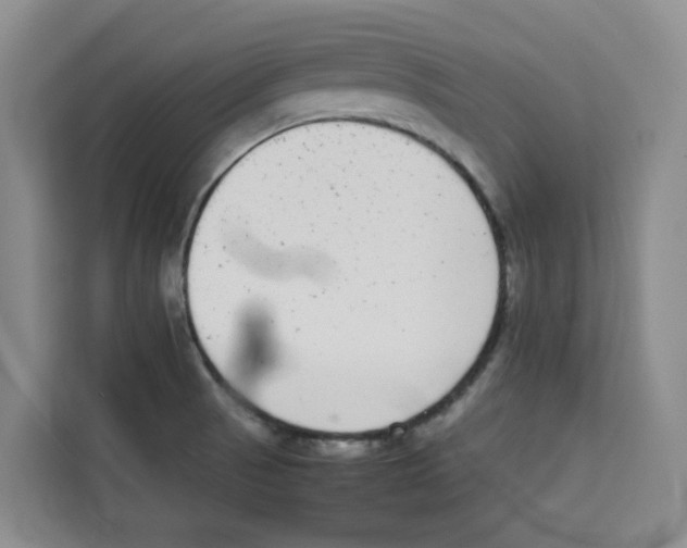 X0000113911521200910221323