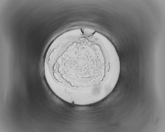 X0000113911522200910221323