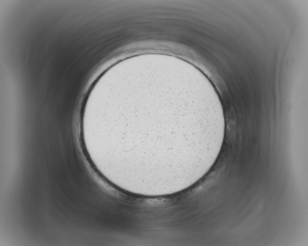 X0000113911523200910221323