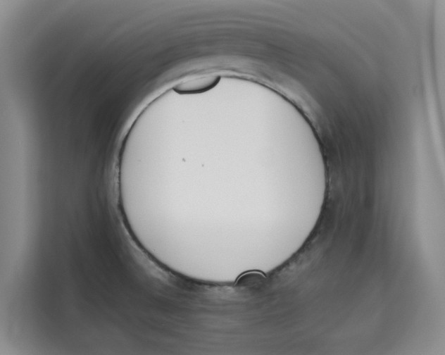 X0000113911524200910221323