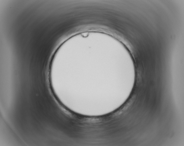 X0000113911525200910221323