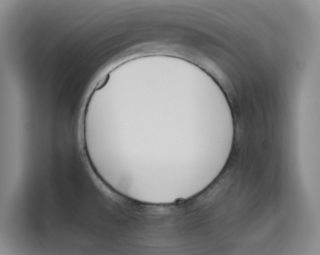 X0000113911528200910221323