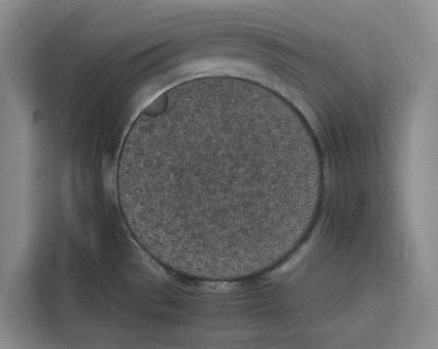 X0000113911529200910221323