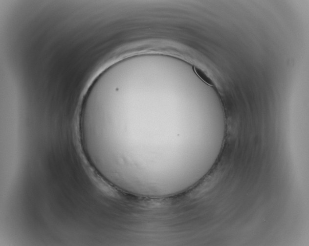 X0000113911530200910221323