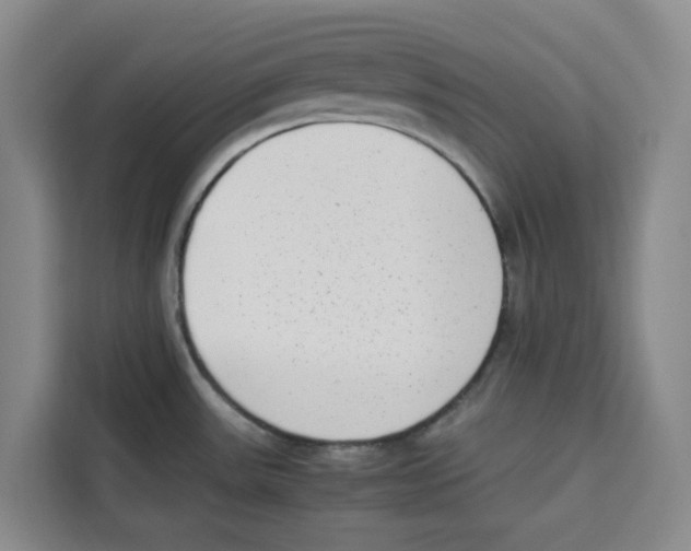 X0000113911531200910221323