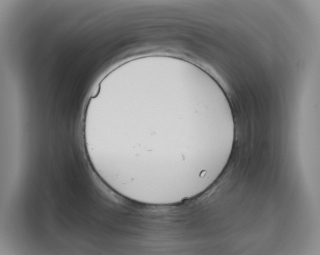 X0000113911532200910221323