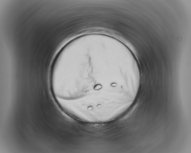 X0000113911533200910221323