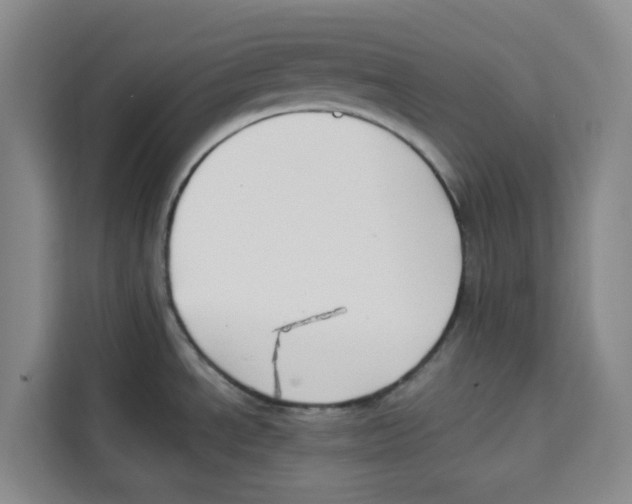 X0000113911534200910221323