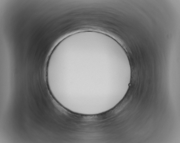 X0000113911535200910221323