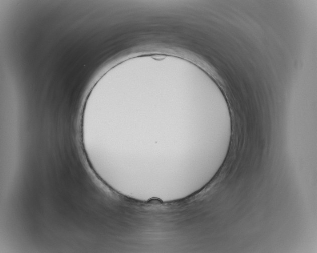 X0000113911536200910221323