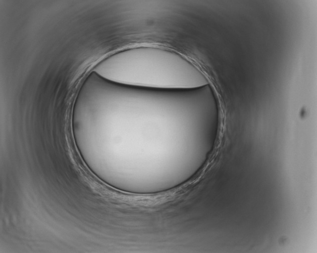 X0000113920001200909241340