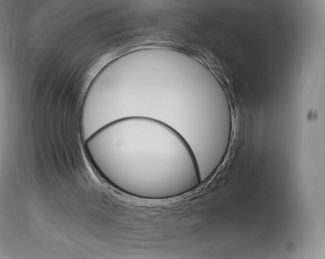 X0000113920003200909241340