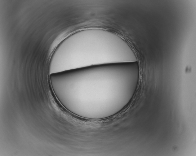 X0000113920004200909241340