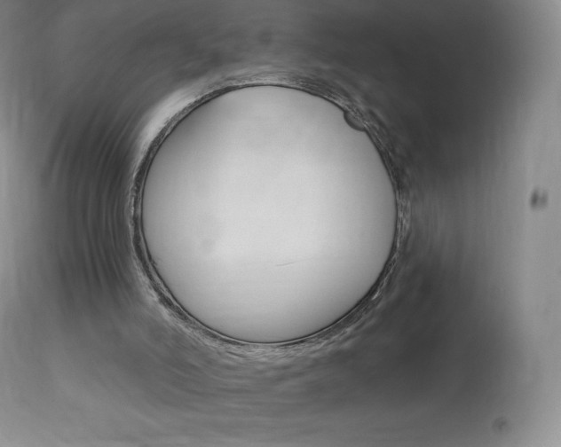 X0000113920006200909241340