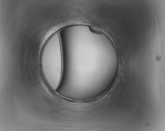 X0000113920008200909241340