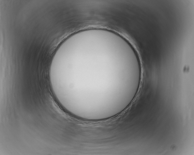 X0000113920009200909241340