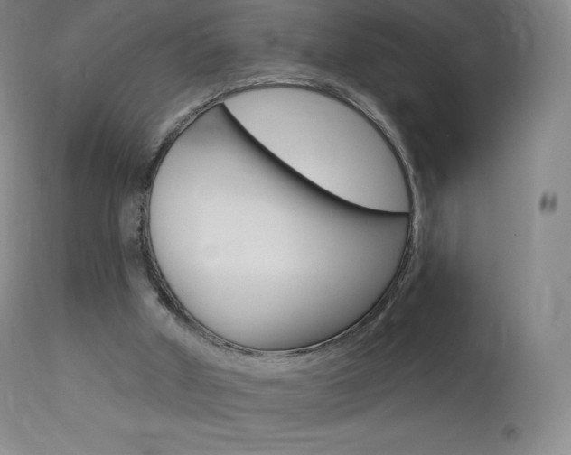 X0000113920010200909241340