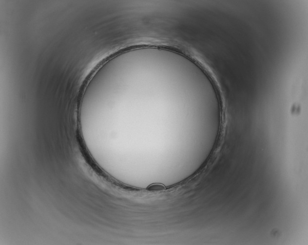 X0000113920011200909241340