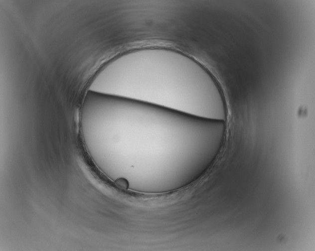 X0000113920013200909241340