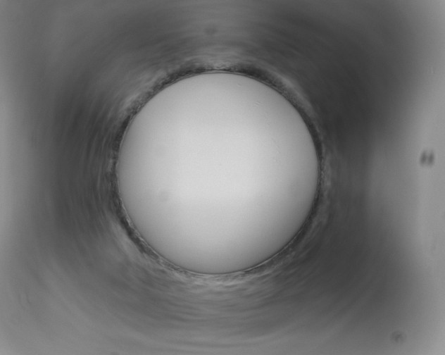 X0000113920018200909241340