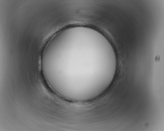 X0000113920020200909241340