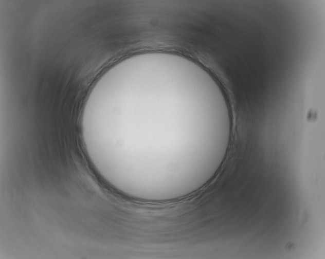 X0000113920021200909241340