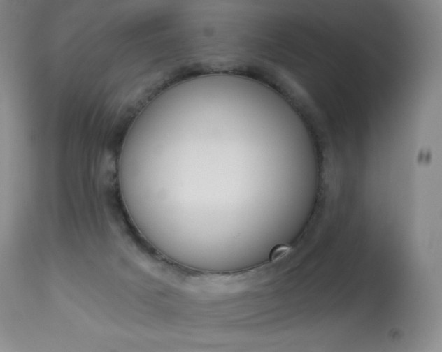 X0000113920025200909241340