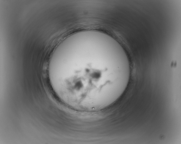 X0000113920026200909241340