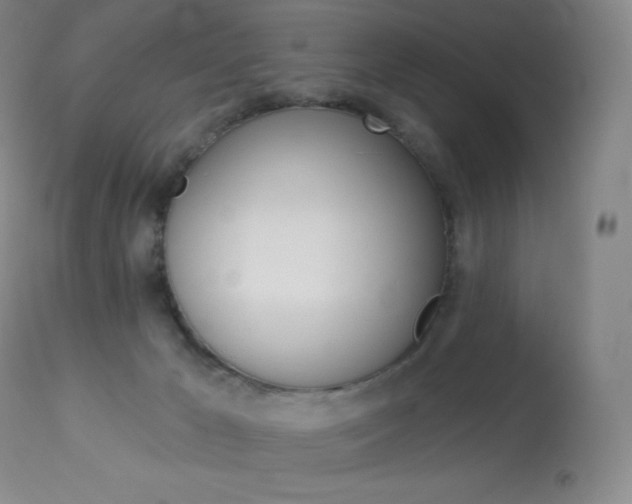 X0000113920029200909241340