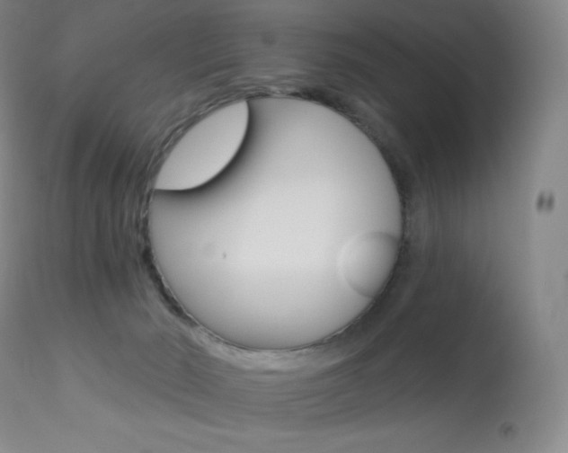 X0000113920030200909241340