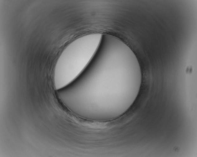 X0000113920032200909241340