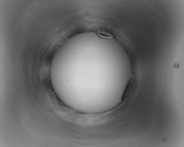 X0000113920033200909241340