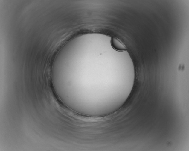 X0000113920036200909241340