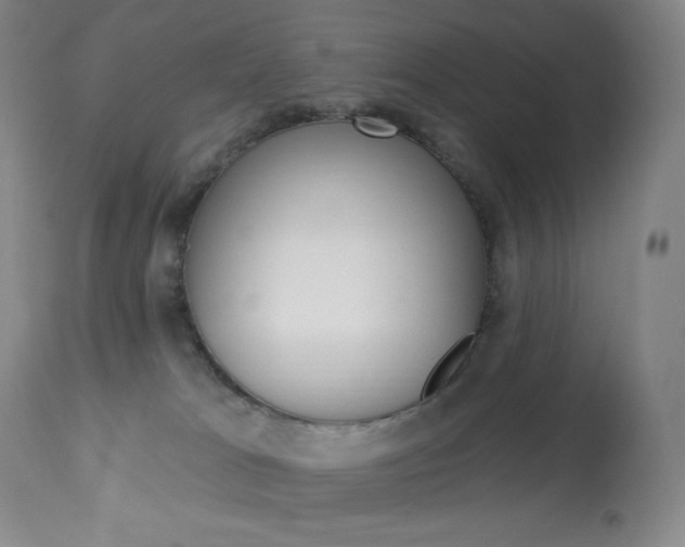 X0000113920037200909241340