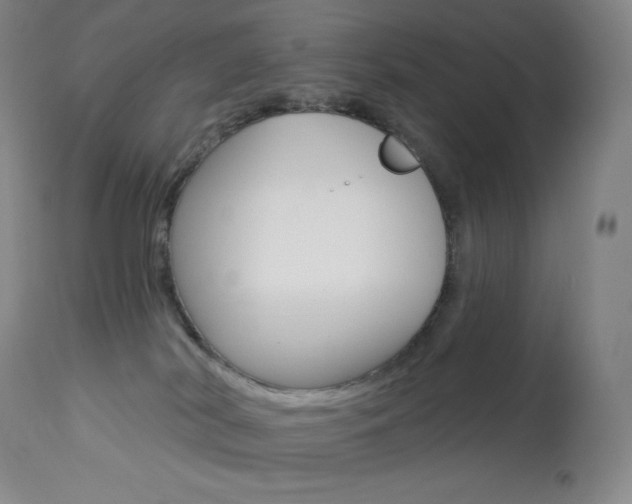 X0000113920038200909241340