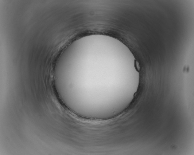 X0000113920040200909241340