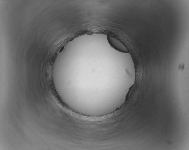 X0000113920043200909241340