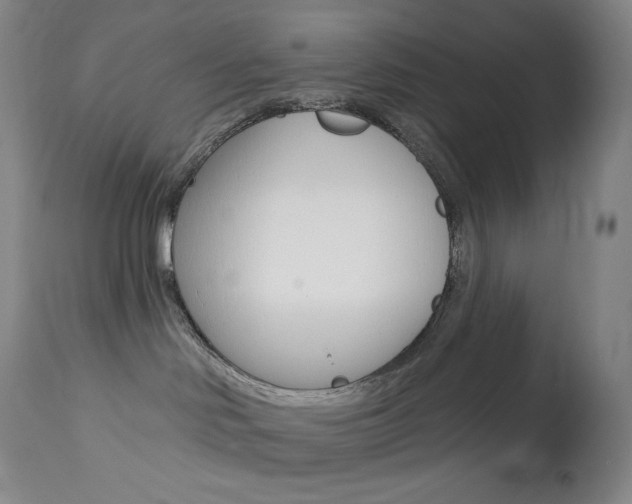 X0000113920046200909241340