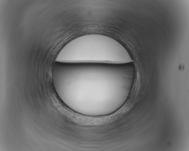 X0000113920048200909241340