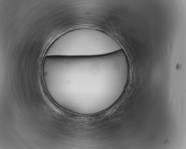 X0000113920049200909241339