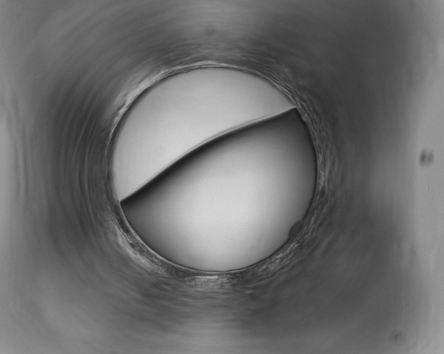 X0000113920050200909241339