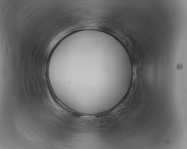 X0000113920051200909241339