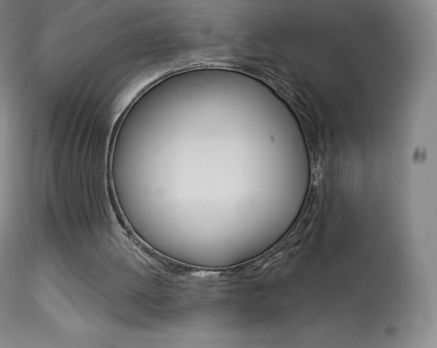 X0000113920052200909241339