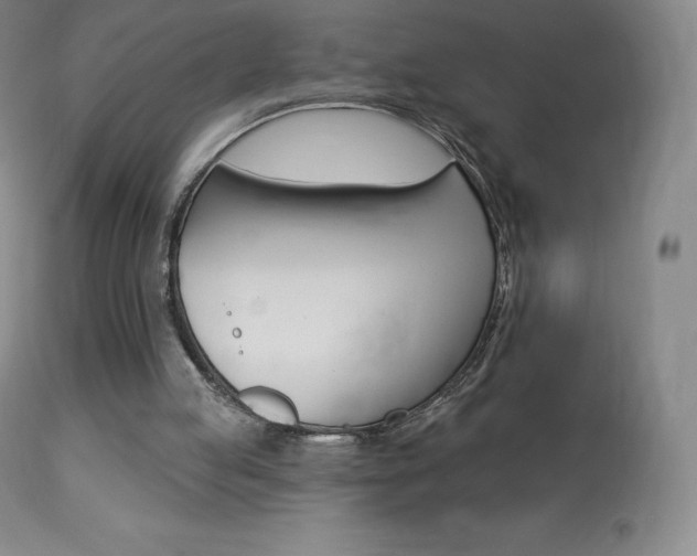 X0000113920053200909241339