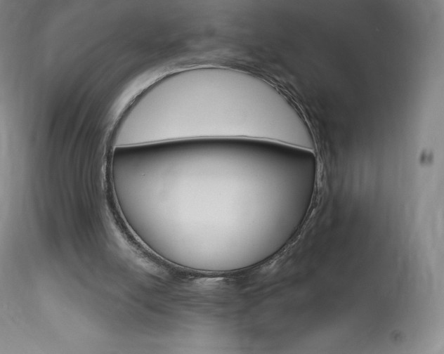 X0000113920054200909241339